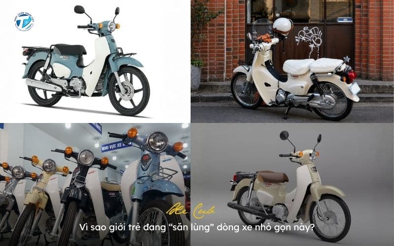 Xe Cub Vì Sao Giới Trẻ Đang “Săn Lùng” Dòng Xe Nhỏ Gọn Này?
